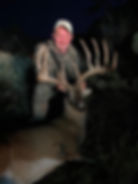 Whitetail
