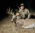 Whitetail, Fall