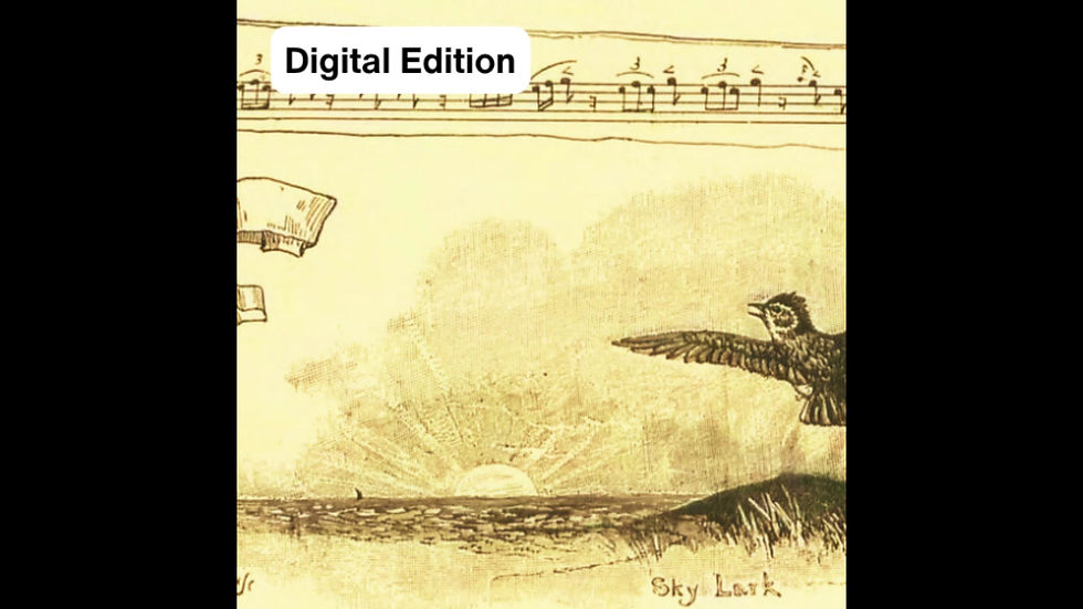 Thumbnail: Rise the Lark arranged by Carolyn Robson [D]