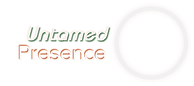 2025-09-03 Logo Untamed Presence.png