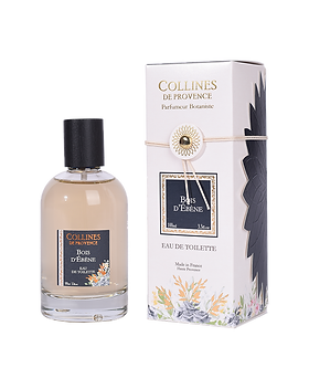 124401375_366201988025354_23804253368632