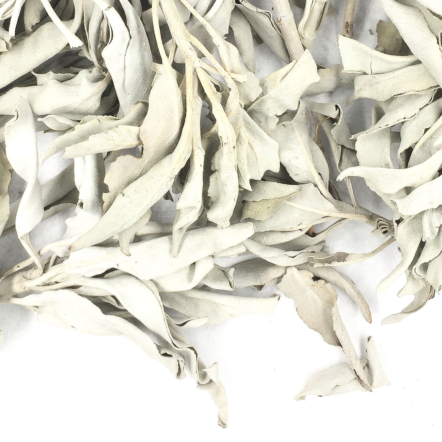 Гідролат Шавлія