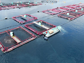 DJI_0052.JPG