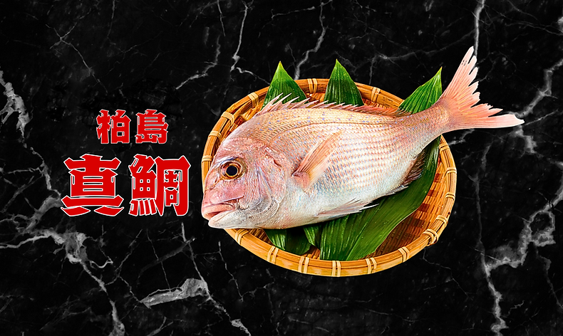 HP素材 (2772 x 1187 px) (2).png