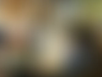 No. 142 LAS MUJERES DEL LIBERTADOR.