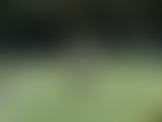 No. 135 CUÁNDO EN MIS TIEMPOS…?