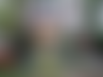 No 091 ANTECEDENTES HISTORICOS DE LA FECHA DE LA NAVIDAD