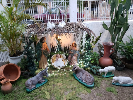 No 091 ANTECEDENTES HISTORICOS DE LA FECHA DE LA NAVIDAD