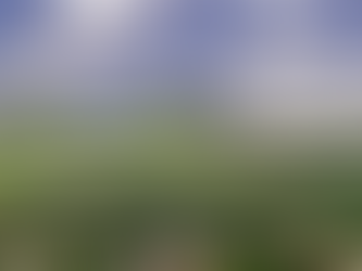 No 092 MI INICIO COMO OFICIAL DEL EJÉRCITO VENEZOLANO EN SAN JUAN DE LOS MORROS