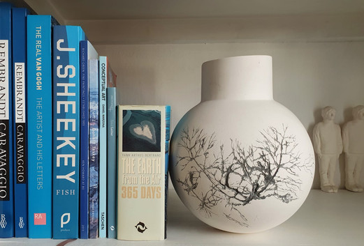 Seaweed Globe Vessel in situ
