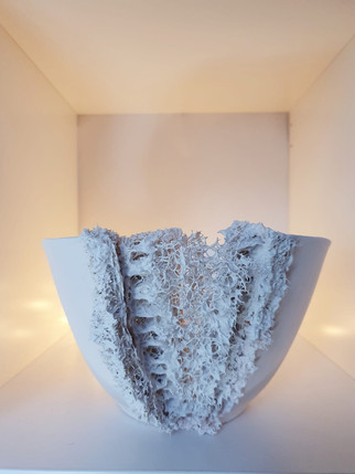 Large Lichen Vessel