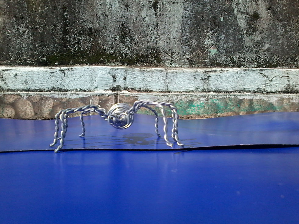 Miniatura: Aranha de arame