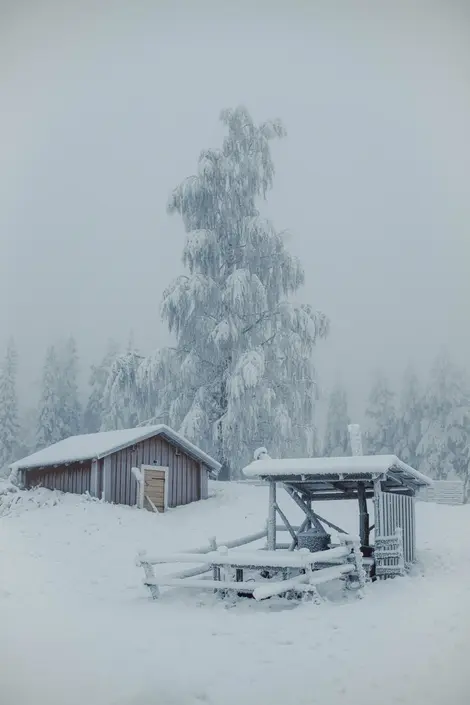 Lapland landscape in winter