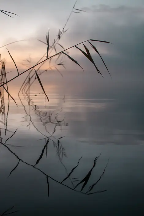 Sunrise colours by a lake