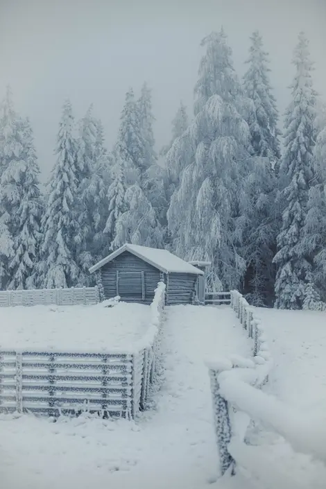 This is the example of remote cozy cottage I have in my head