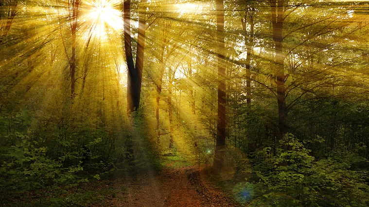 SIGARALMA Terà pia Bioenergètica-3.png