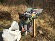 Laide and Aultbea Community Woodland - Volunteer