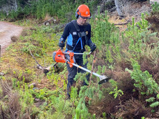 Laide and Aultbea Community Woodland - Volunteer