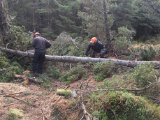 Laide and Aultbea Community Woodland - Volunteers