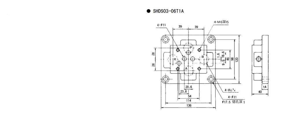 Bottom Plate (3)
