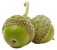 Paar eikels
