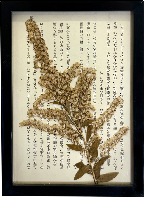 Pressed_Botanical_Framed_7x5 (Normal)