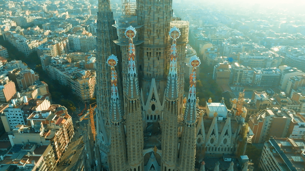 DJI_0155.00_00_19_49.Imagen fija001.png