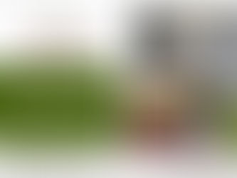 Visite du duc d'Angoulême