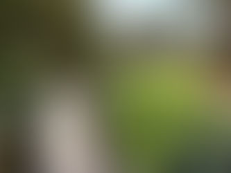 Hôtel Cesbron-Laroche (1774)