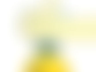 Comedy Competition Part 3 (Blog 47)