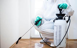 Insecticide-punaise-de-lit.jpg
