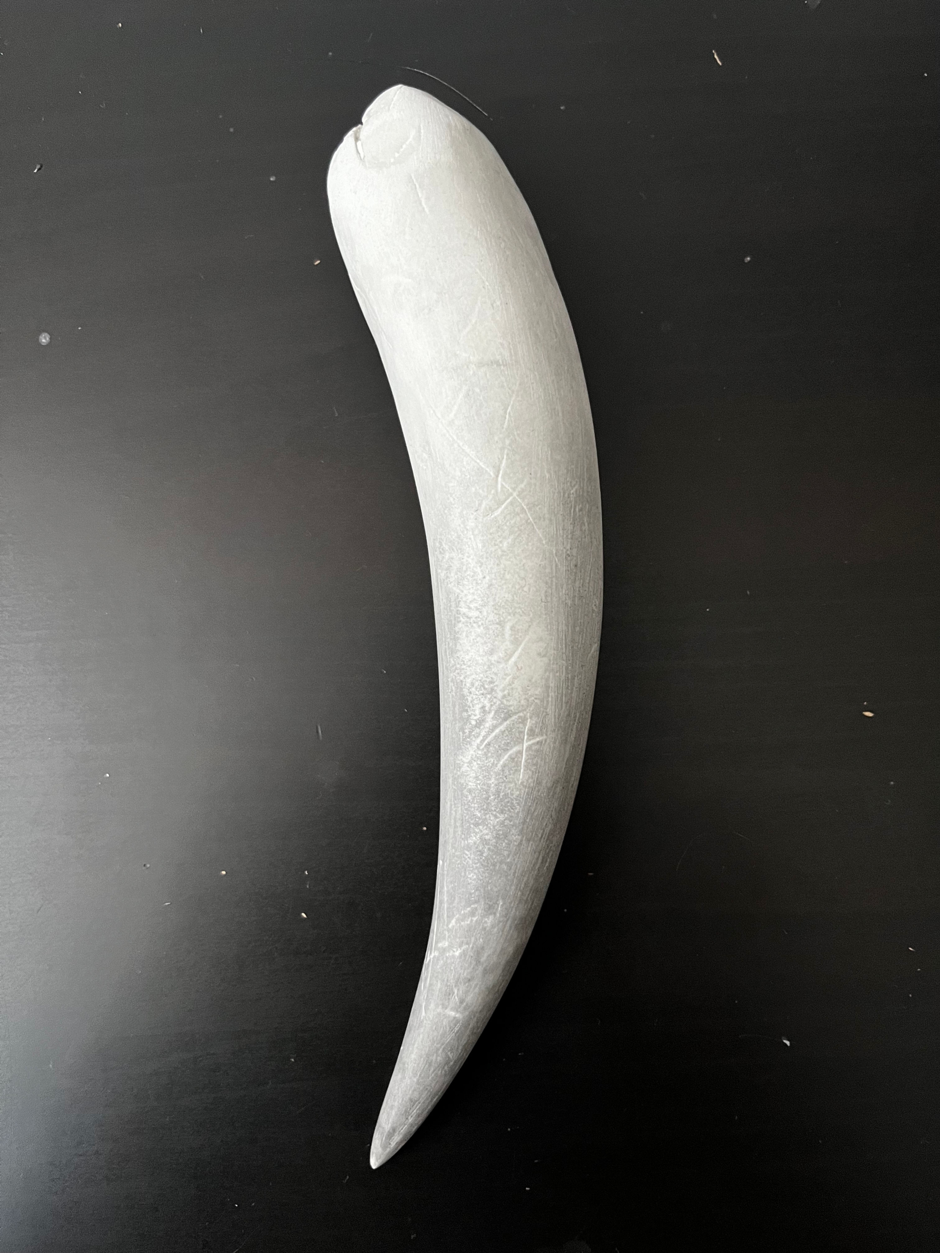 Smildon Populator Tooth