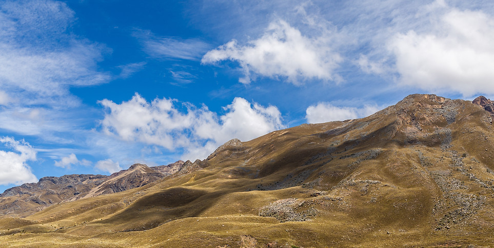 _MG_3163.jpg