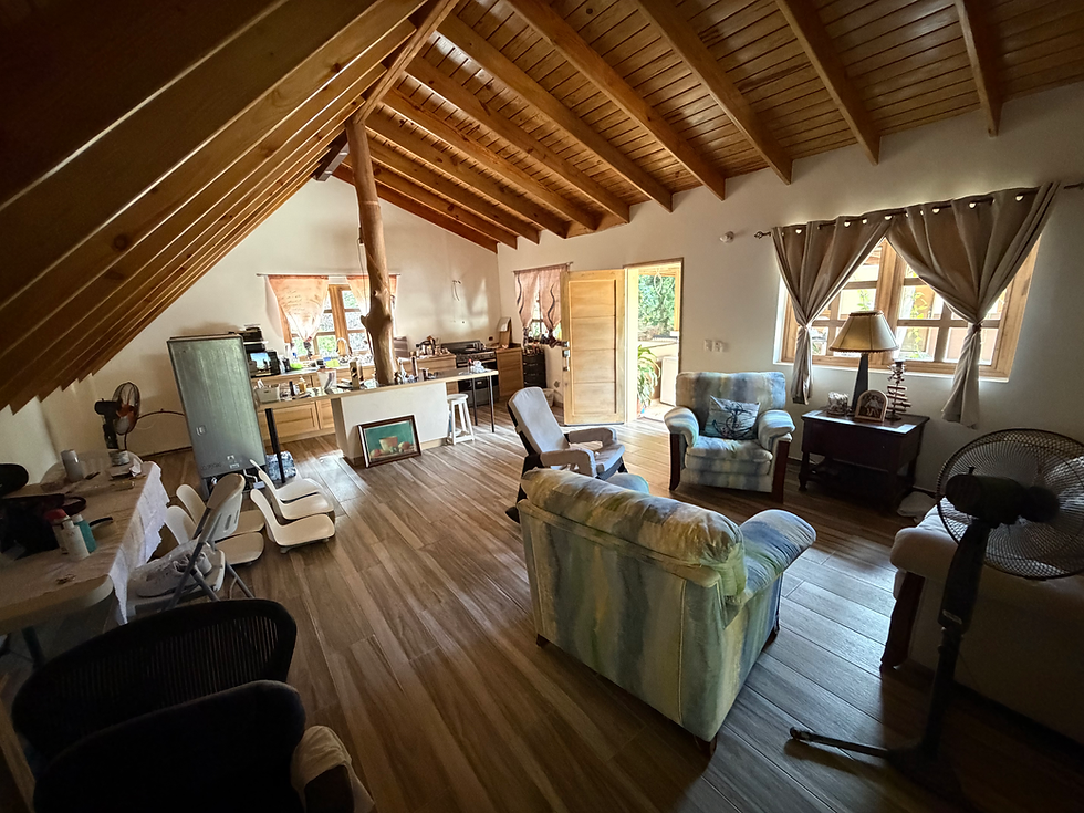 Miniature : Villa El Almendro 600m2 