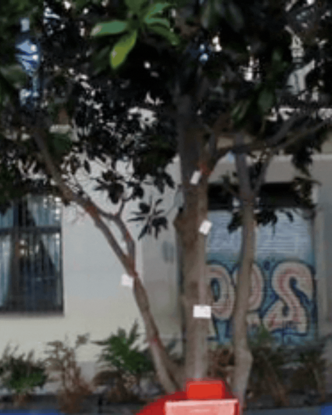 THE LET GO PROJECT (2).gif