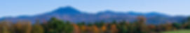 AdobeStock_94279434.jpeg