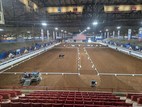 Experience the Excitement of the WDAA World Championship Show in Guthrie, Oklahoma
