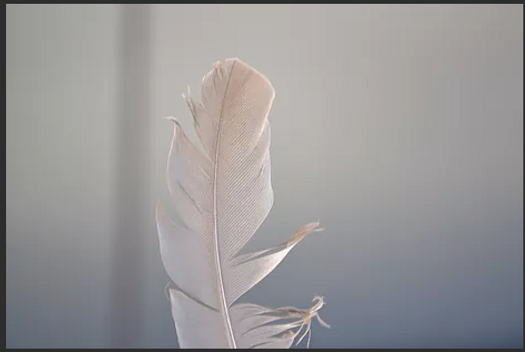 Screen Shot 2019-05-17 at 7.52.33 AM.png