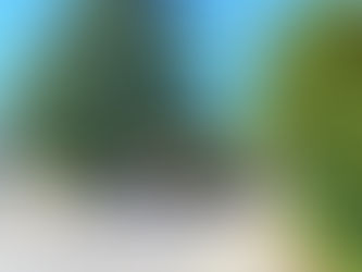 🔴Alerte à la bombe à la Borde-Basse🔴