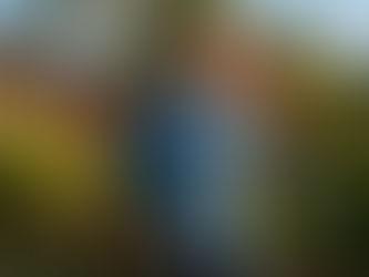 Tudo que vocĂȘ precisa saber sobre SĂtios de Recreio