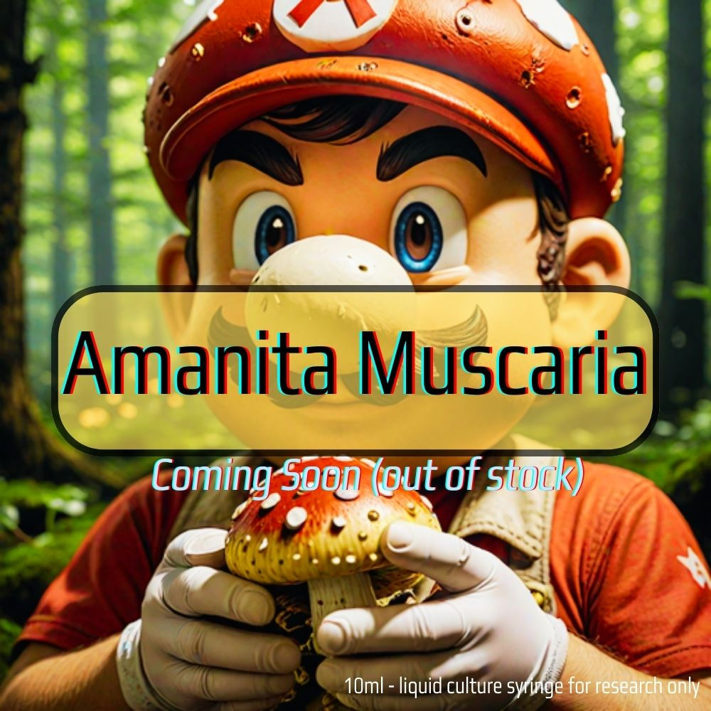 Amanita Muscaria Magic Mario