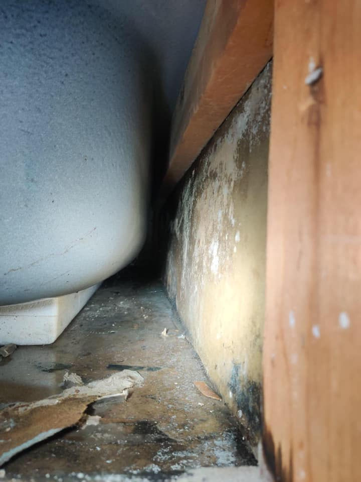 prs construction mold repair remediation