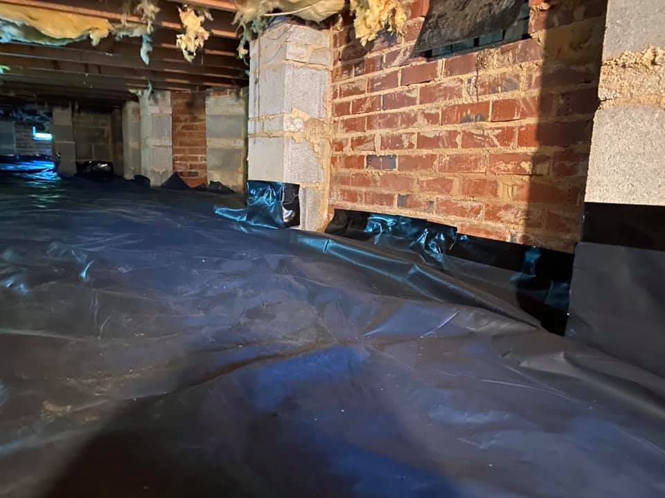 prs construction mold repair remediation