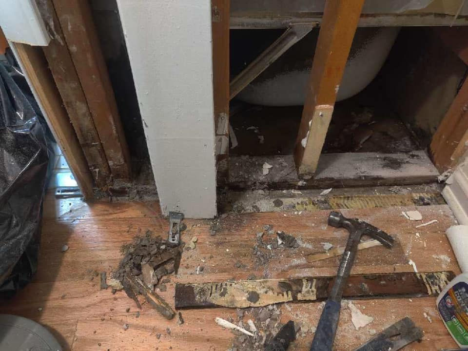 prs construction mold repair remediation