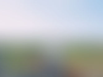 オフィシャルホームページ公開のお知らせ