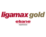 ligamax eliane.png