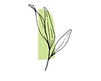 Studio Blu leaf (1).png