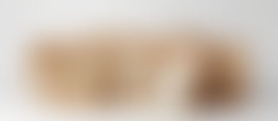 Can Wholesale Biodegradable Shopping Bags Be Afforded by Small Businesses? Benefits and Drawbacks