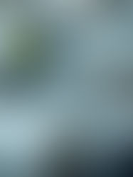 What Should I Look for in Biodegradable Stretch Film Manufacturers?