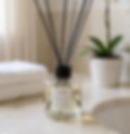 Diffuser 2025_edited.jpg